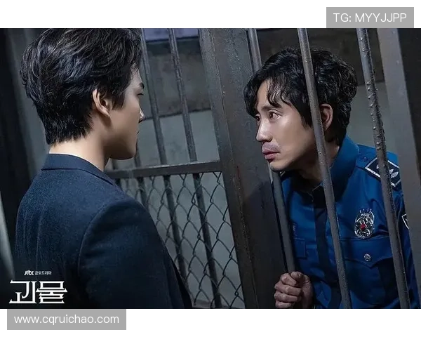 《刑侦破案电视剧大全》：一场思维的盛宴，一次正义的追逐